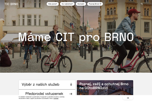 Náhled webu TIC Brno